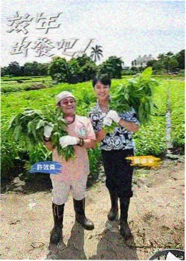 老友重聚局 怀旧综艺推荐